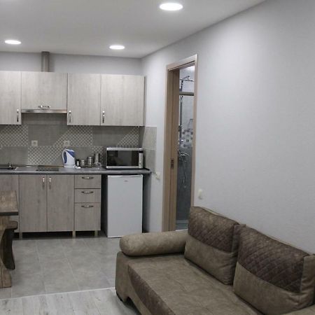 Family apartament Apartment Tbilisi Bagian luar foto